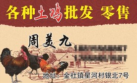 土鸡名片