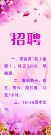 招聘 展架画面  粉色底 花