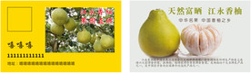 香柚名片