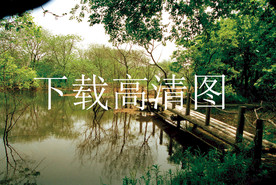 生态湿地