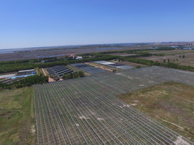 蔬菜基地