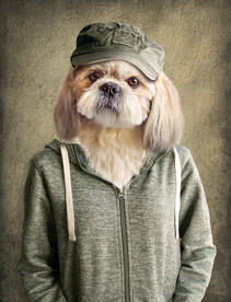 北欧抽象创意动物人身狗狗图片