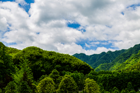 青山牯牛降