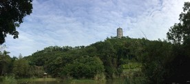 深圳园博园