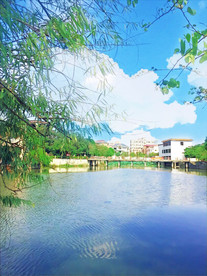 东莞下桥
