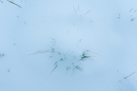 雪景