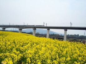 铁路风光