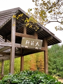秋天