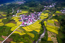 库山风光