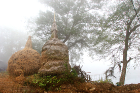 乡村风光