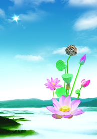 荷花