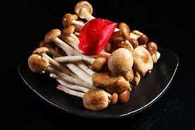 火锅长蘑菇菌类蘑菇