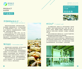 健康家装宣传画册