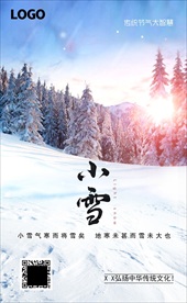 小雪海报