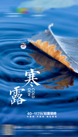 寒露海报