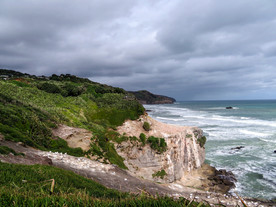 新西兰鸟岛风景