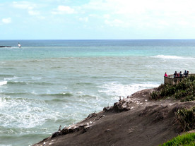 新西兰鸟岛风景