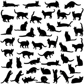 黑猫 动物 矢量 EPS 可爱