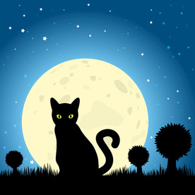 黑猫 动物 矢量 EPS 可爱