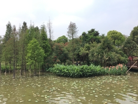 海珠湖