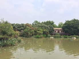 海珠湖