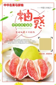 西柚
