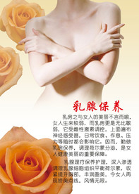 乳腺保养