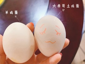 土鸡蛋 鸡蛋