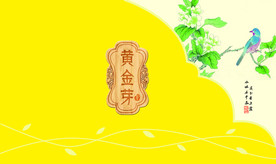 黄金芽礼盒