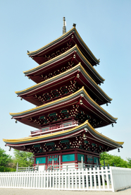 武汉 晚樱季