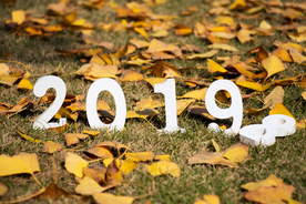 2019年数字