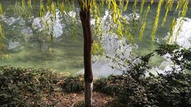 唯美 大自然 摄影