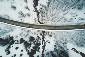 雪地