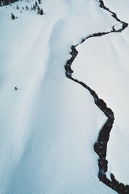 雪地
