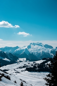 雪地风景