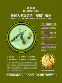 端粒酶破解人类衰老密码