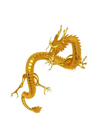 龙