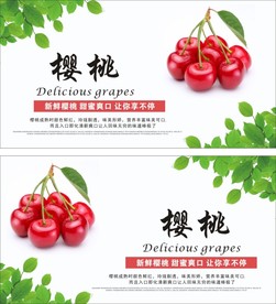 樱桃