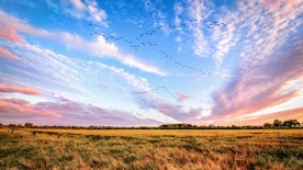 夕阳
