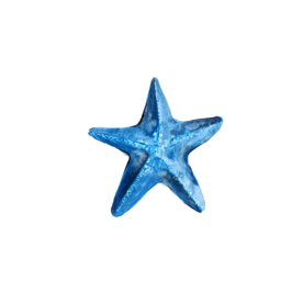 海星