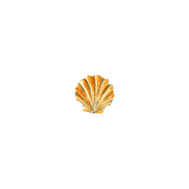 贝壳
