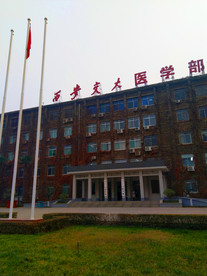 学校教学楼