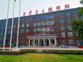 学校教学楼