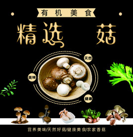 精选香菇