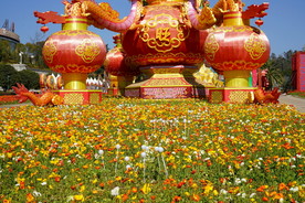 昆明世博园的花海