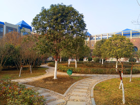 夕阳下的校园风景