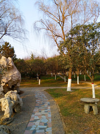 夕阳下的美丽公园