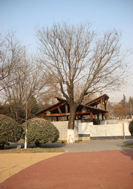 冬季公园