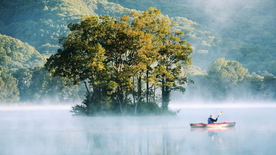 小岛