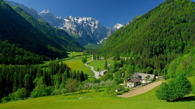 青山绿树